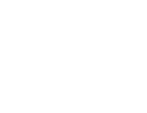 b3sD print Logo